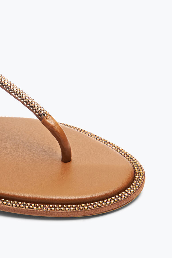 jeweled diana cognac sandal with crystals 10 rene caovilla