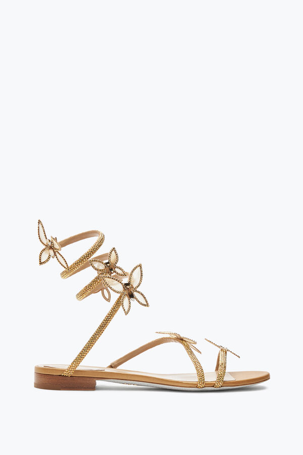 jeweled butterflower crystal gold sandal 10 rene caovilla