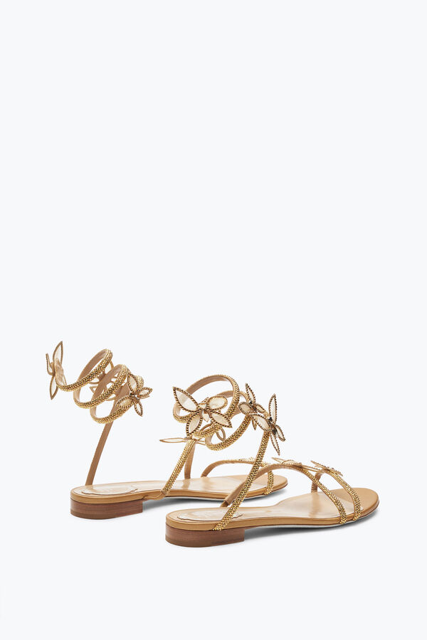 jeweled butterflower crystal gold sandal 10 rene caovilla