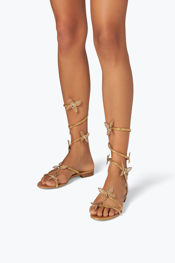 jeweled butterflower crystal gold sandal 10 rene caovilla
