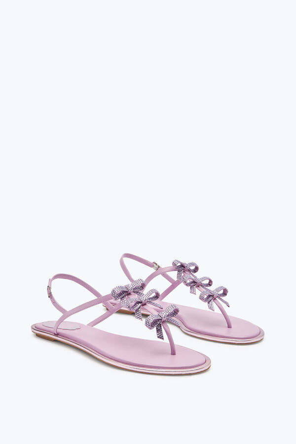 jeweled caterina mauve thong sandal 10 rene caovilla