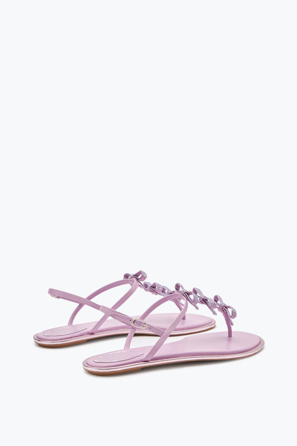 jeweled caterina mauve thong sandal 10 rene caovilla