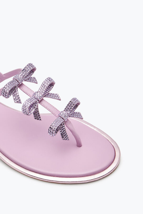 jeweled caterina mauve thong sandal 10 rene caovilla