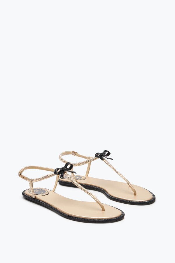 jeweled caterina honey thong sandal 10 rene caovilla