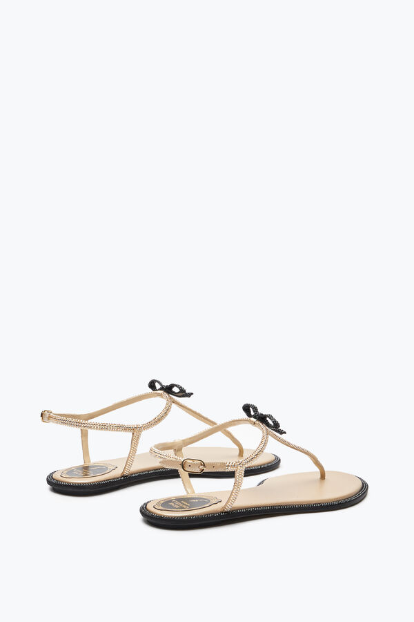 jeweled caterina honey thong sandal 10 rene caovilla