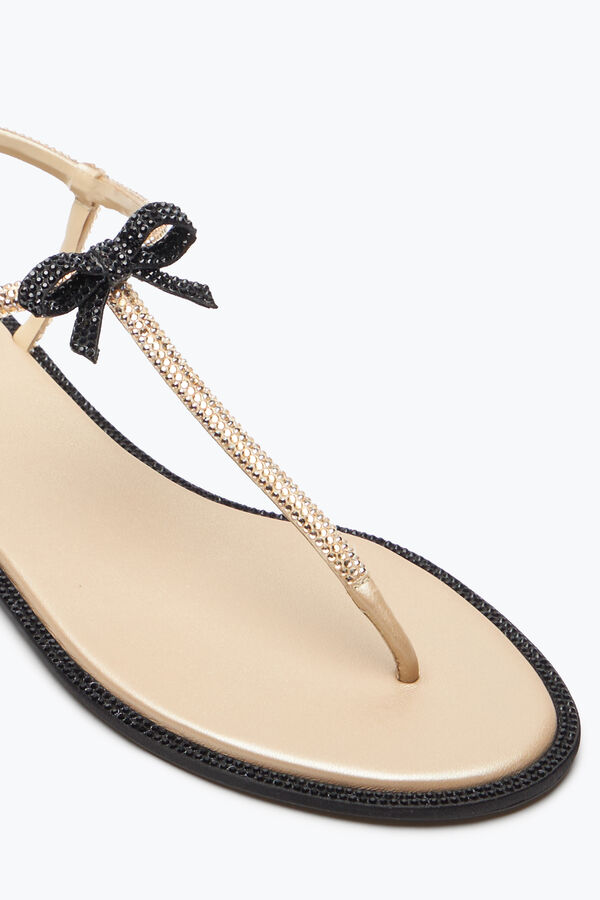 jeweled caterina honey thong sandal 10 rene caovilla