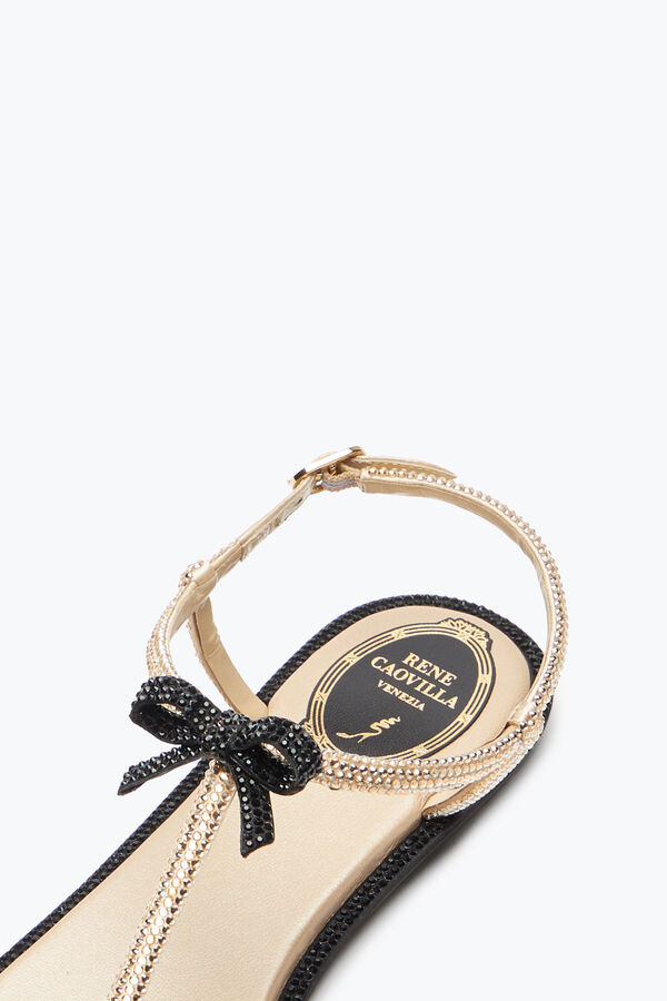 jeweled caterina honey thong sandal 10 rene caovilla