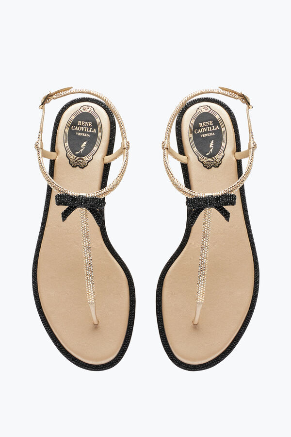 jeweled caterina honey thong sandal 10 rene caovilla