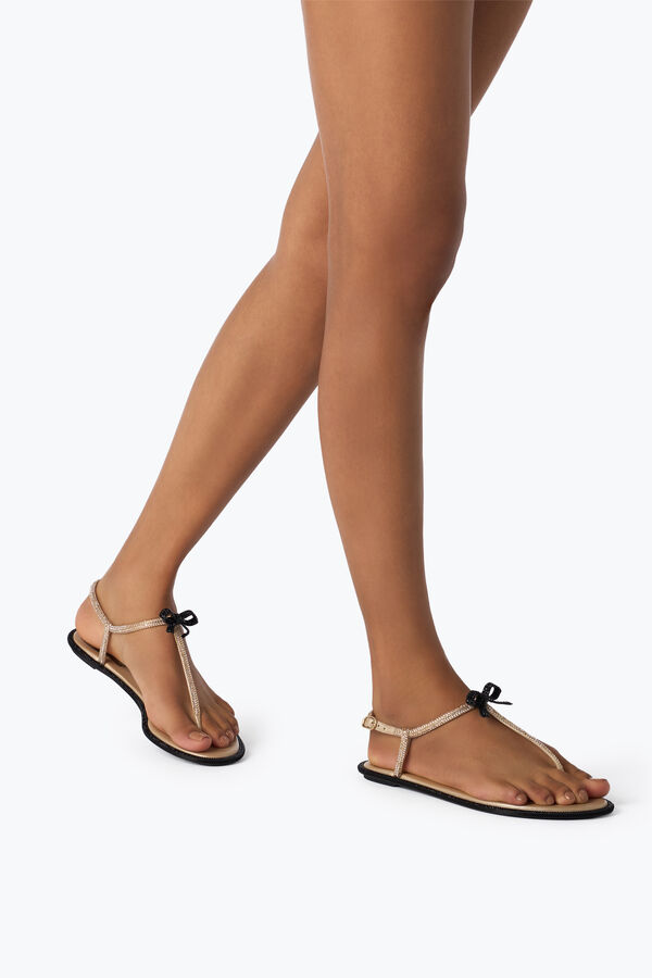 jeweled caterina honey thong sandal 10 rene caovilla