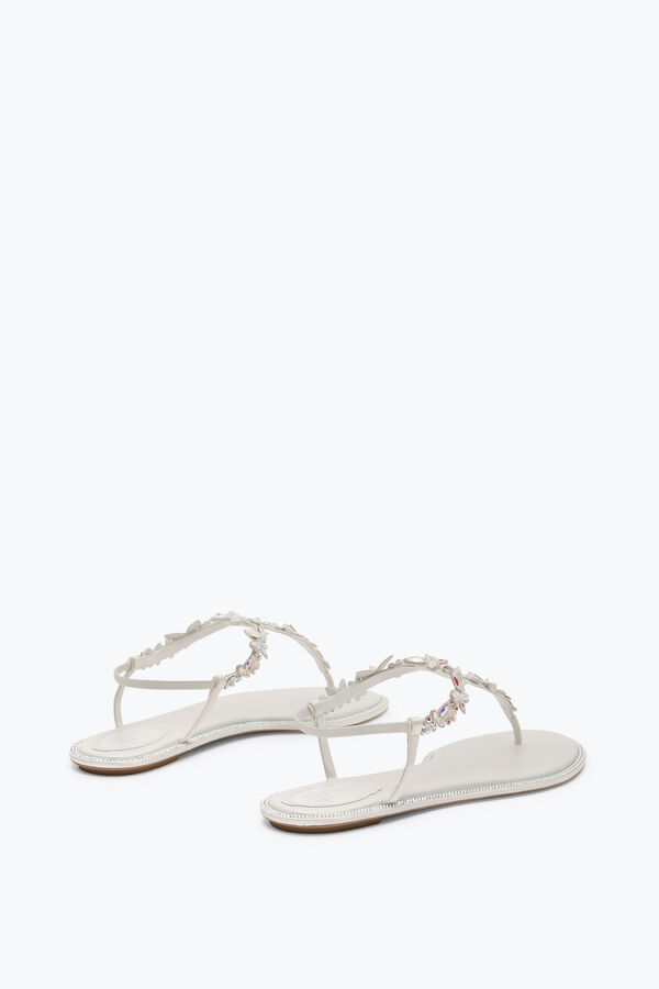 jeweled eden ivory thong sandal 10 rene caovilla