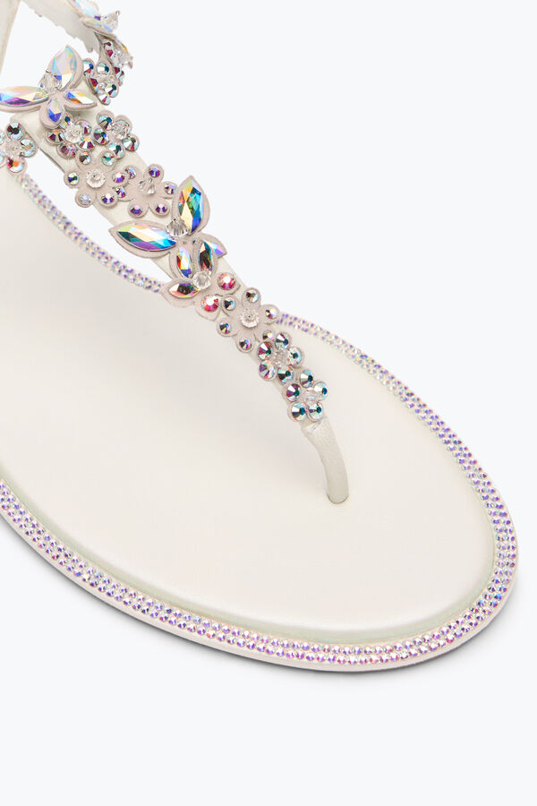 jeweled eden ivory thong sandal 10 rene caovilla