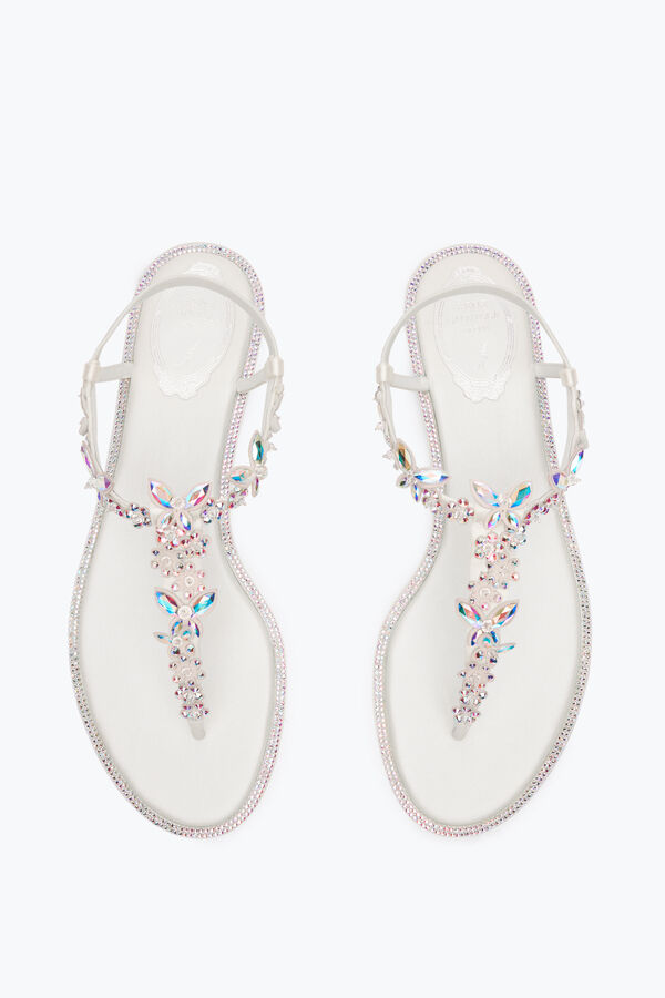 jeweled eden ivory thong sandal 10 rene caovilla
