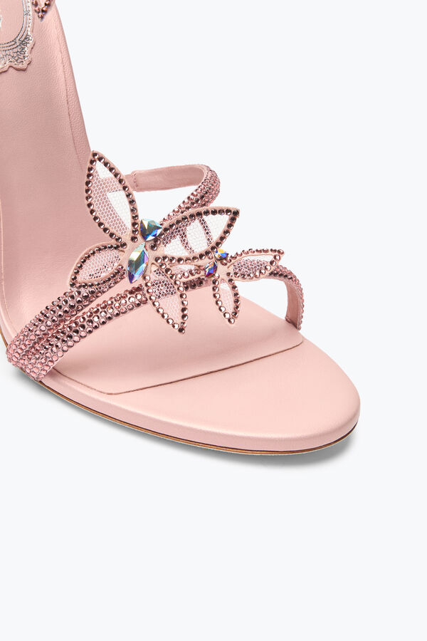 jeweled margot pink powder butterfly sandal 105 rene caovilla
