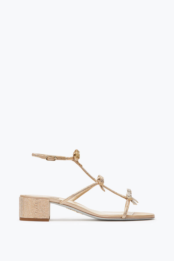 jeweled caterina sandal 35 rene caovilla