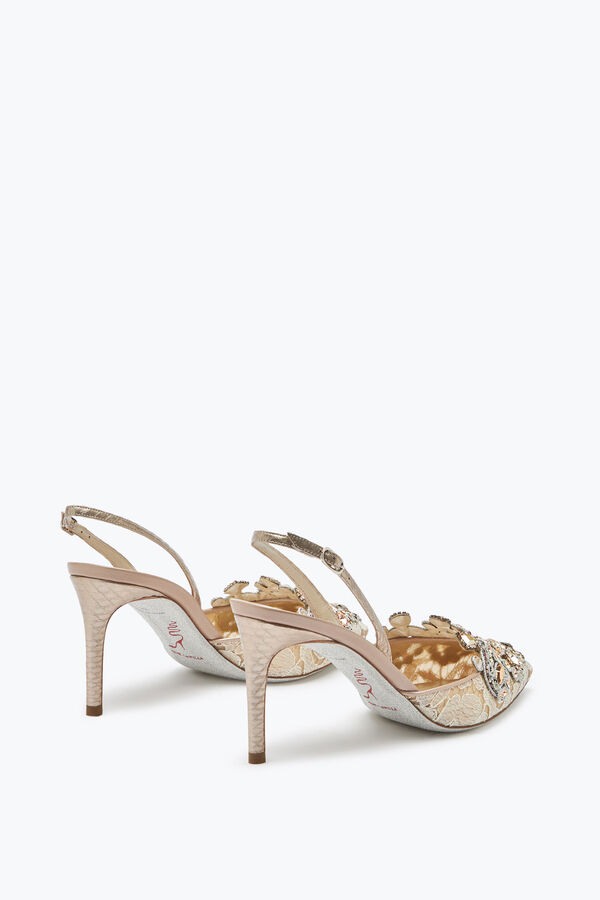 jeweled veneziana lace slingbacks 75 rene caovilla
