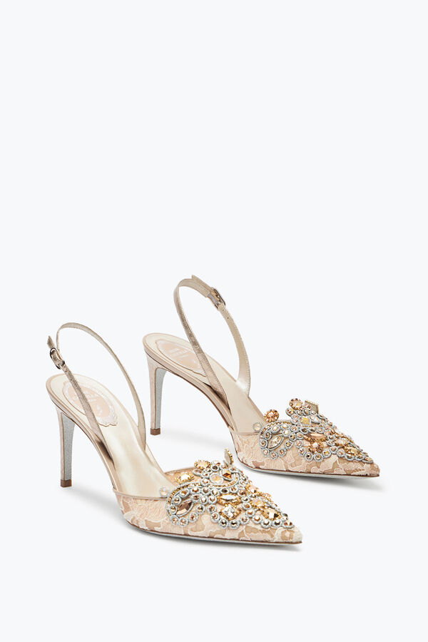 jeweled veneziana champagne slingback 80 rene caovilla