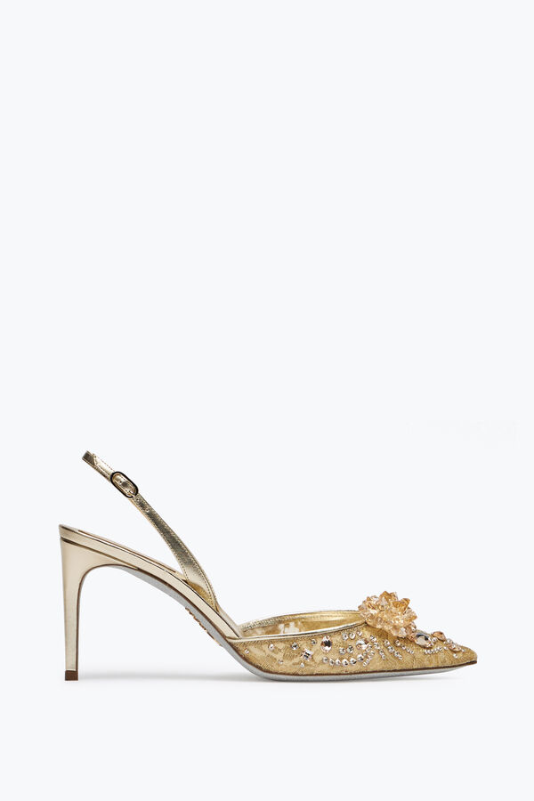 jeweled cinderella golden slingback 80 rene caovilla