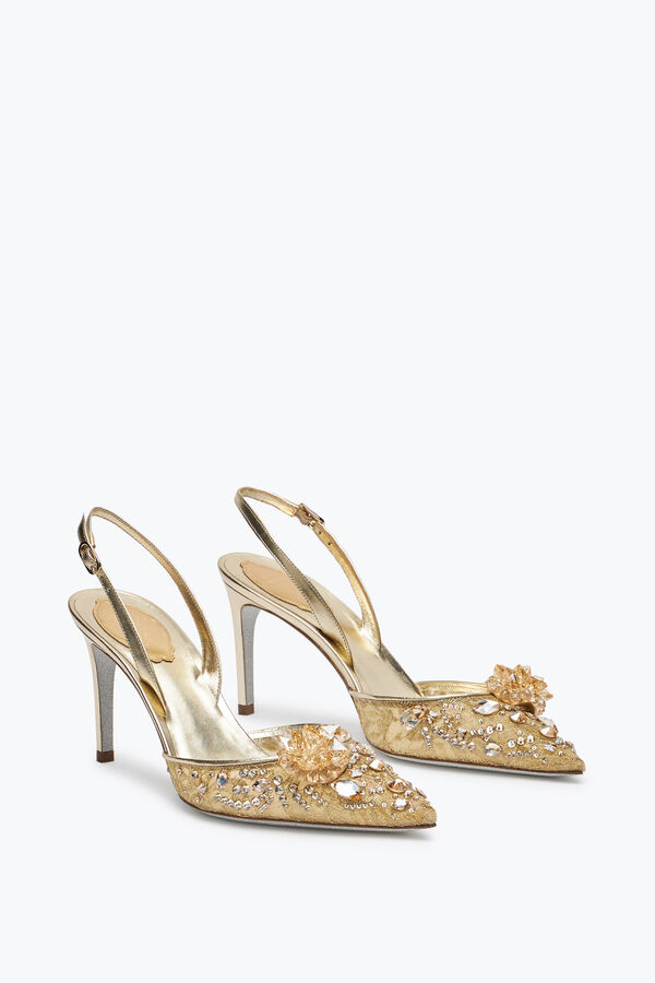 jeweled cinderella golden slingback 80 rene caovilla
